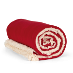 763ec3602ab43ffc662e09dcbaafc8122de216084371807cf617dd6f20455f26 - Hidalgo