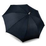 773992e3b272edb34cf7e9d821bdd4035b1f343a0fd937b2bf496627bb1e0a6a - Hidalgo