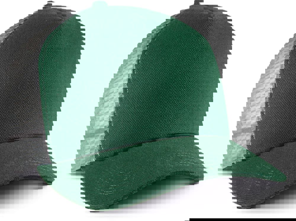 7dd7f22d013aa988048591f5756c13f5ec7bda8185ac7c41991811cdb4e98eef - Hidalgo