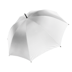 8309e30ad1cc825f702e5c9f4b1ec3c03ac1a96a0c74079e9630969d7201f7dd - Hidalgo