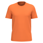 83bd1955ce3c04a45476716dee9b4145c0fb538e4007814998247b13420df057 - Hidalgo