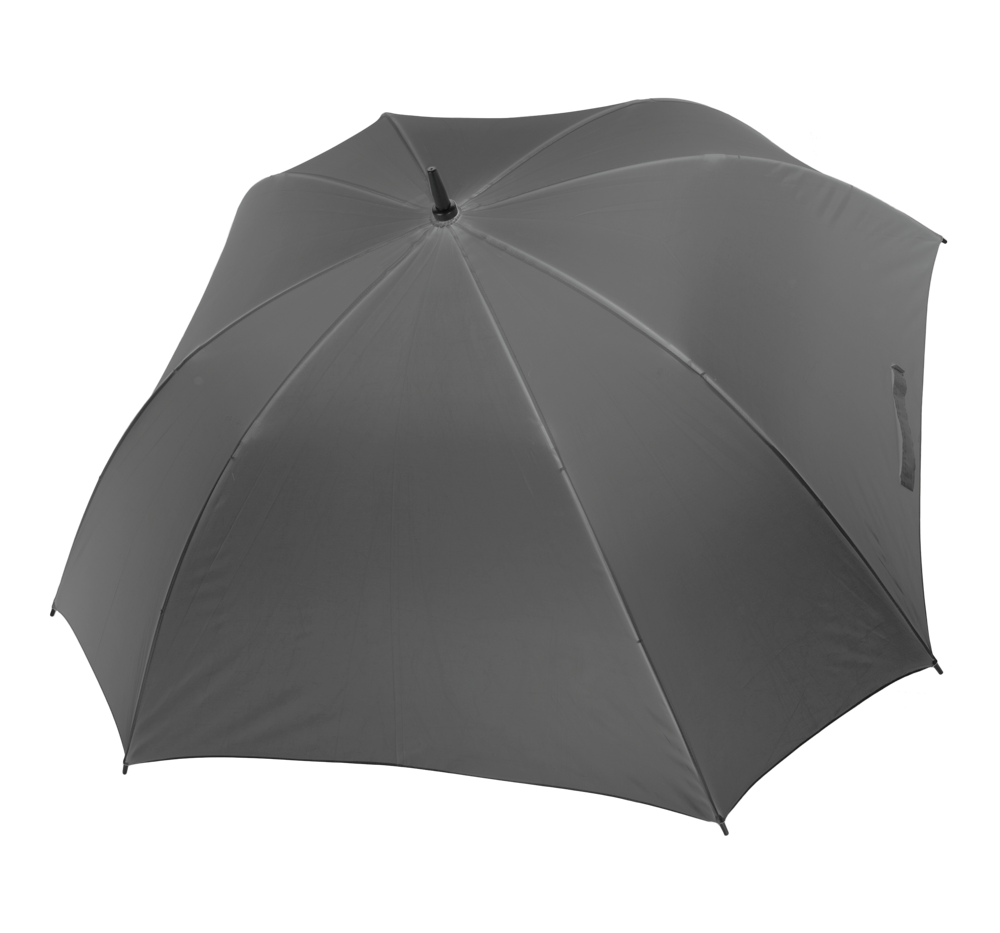 8a30262daca9132f02b85da5714390b574e8d2db6a9099f3e9fb2846631aa40a - Hidalgo