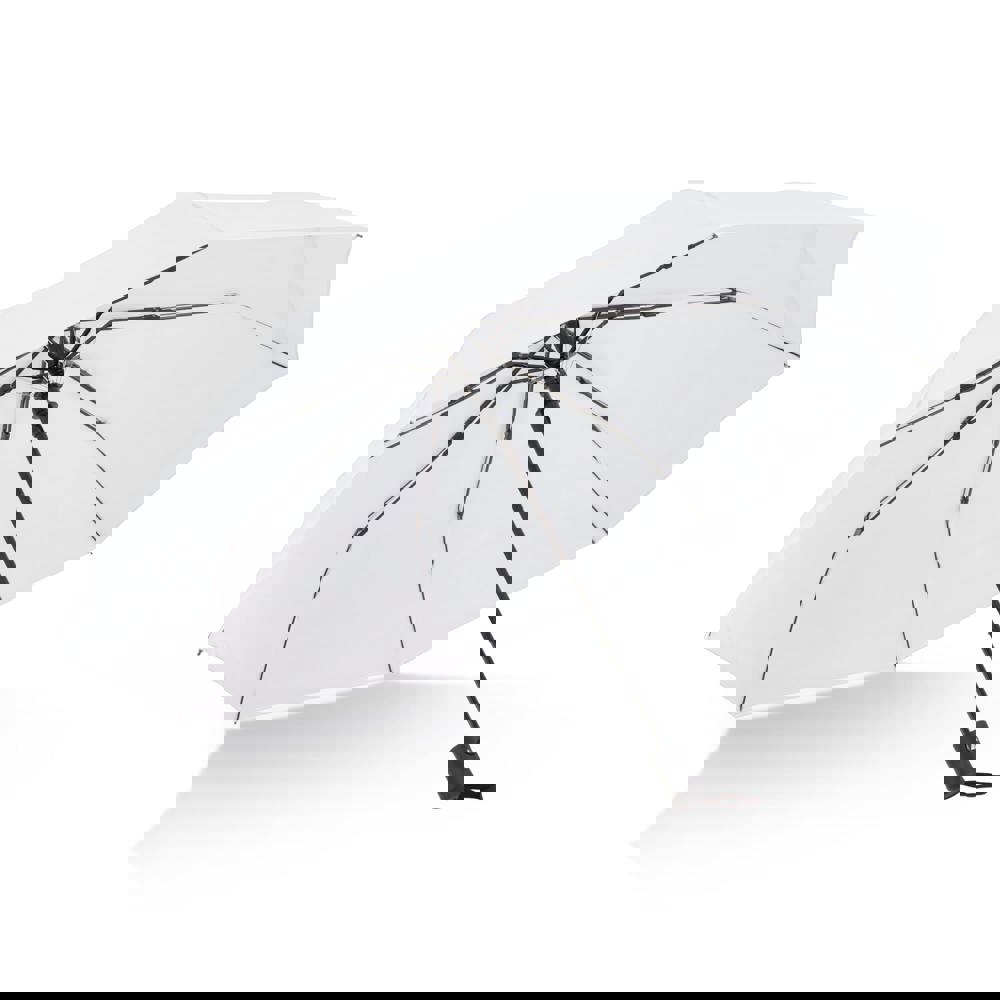 926541b31e8fde7a3106950c48a8f446322de489bbd53099139770abb1d6d0ce - Hidalgo