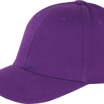 a5290218ed4bbc39c61a4820ff9e7ebcf6b3891e83bc6c632537f96f9db7c4c3 - Hidalgo