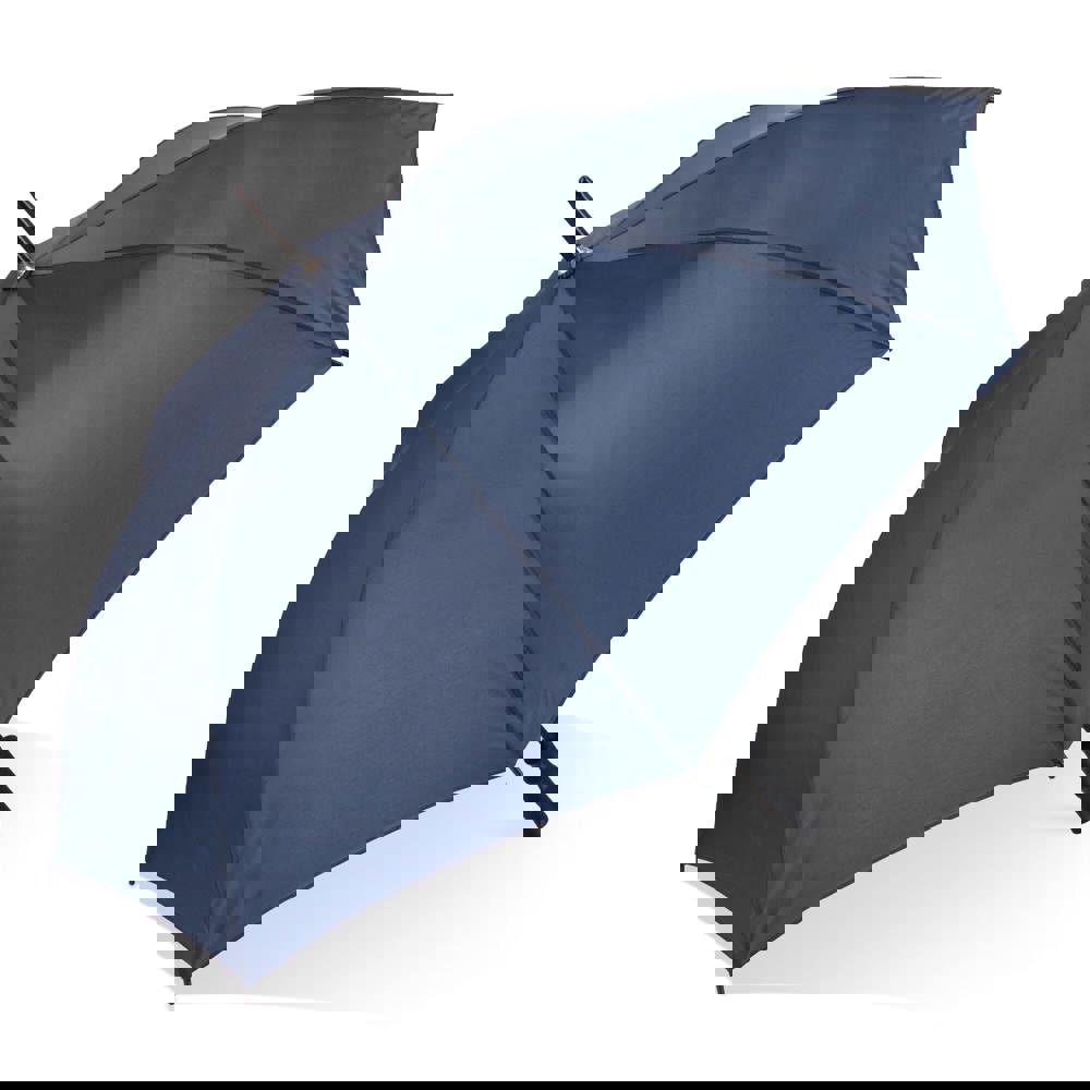 b22f5b1220a40c0accfee1ba269eac600113d623bd35519622fcacbea5756218 - Hidalgo