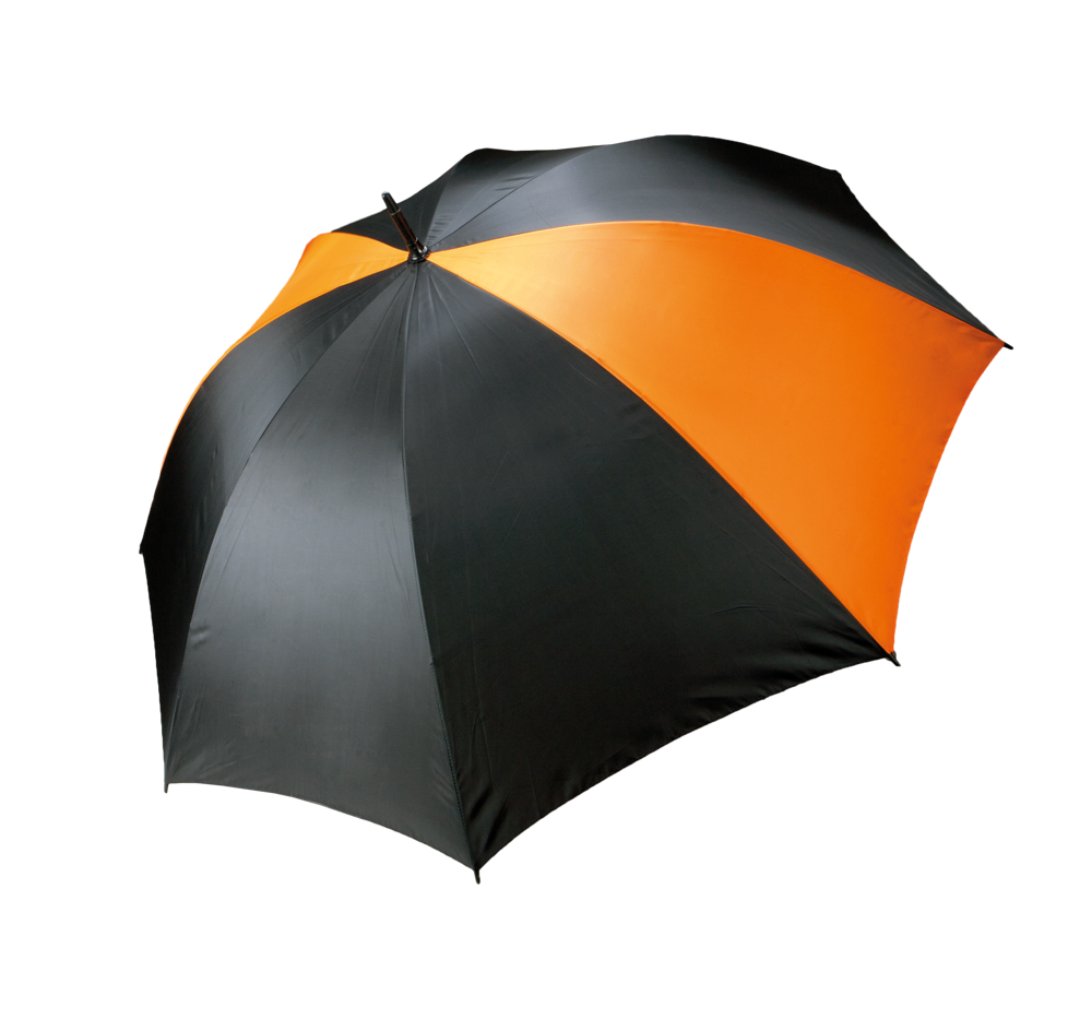 b26cfea7631955e8f92e6d8090573df9c89e8015045d31152b3985e172b57c52 - Hidalgo