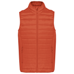 bb18d75289227105f3c1343984764ae90be862a400438e319c37c0940760192b - Hidalgo