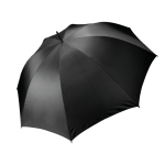 bcc6bb6b16e2c097fa35da6dc79ceee8f1d242c0650ff875424bfa504300e0bd - Hidalgo