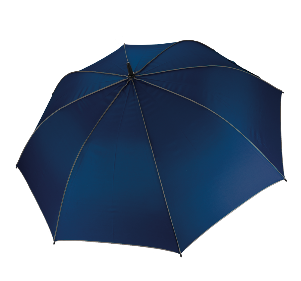 c1a7d11f34eccc0afcc6e0706ecdfaf04cf3647a26997a23675e4fa253a63602 - Hidalgo