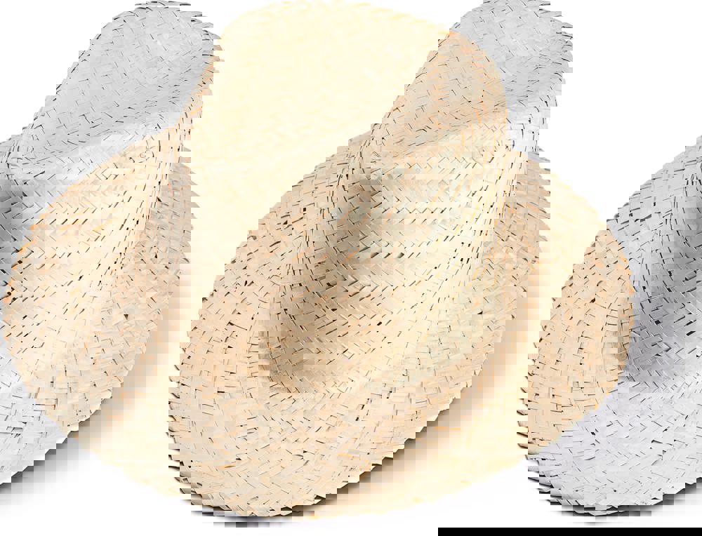 c8afb1f33e2de04acf1b74173206f2e30676890b44d1276001d7cc0725642912 - Hidalgo