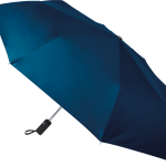 d062a3d7123567761906b267611865f7cd3c53b69b6f10bc0d290e86f4009397 - Hidalgo