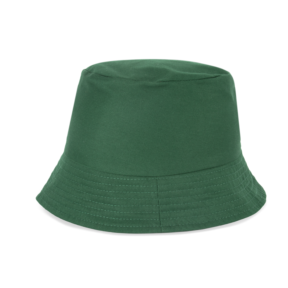 d4522f9af7239646f286d3db1bc91778f10e5e9f4b4dbf6a97c0ffe194cec635 - Hidalgo