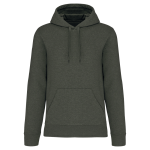 d8aabaa3b4927f69aae88b5a0415ac3863c3184f253871bb7880b99035c2f221 - Hidalgo