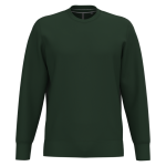 ddf55c3900543a960a482f2277cd7ad839723672bbc19a78003ff0d769120ece - Hidalgo