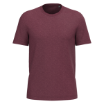 e13f2c023dc7b191fabad7cb9473895a52212022d17487783555ddafcb01eef4 - Hidalgo