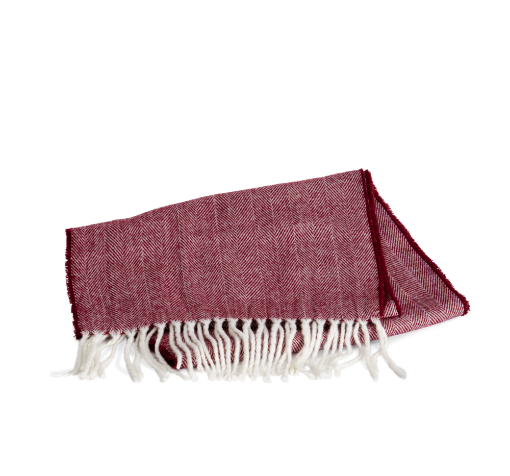 e4a9493816e234d00ef953f990c1741a4553dfa3f70f259d45d5502e54528711 - Hidalgo