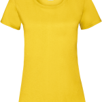 e741841fe3c2295c966edbd34335a878813dca35d80f9b8c162cee34ec6407b0 - Hidalgo