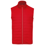 ebce070ad19f912d474bdf99b323f9afa2f6f16b07a305e4effb460c439a1324 - Hidalgo