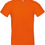 ed56217f10eca42256297d3419e6d8721b033faf297ddb124803369cd9f1e84b - Hidalgo