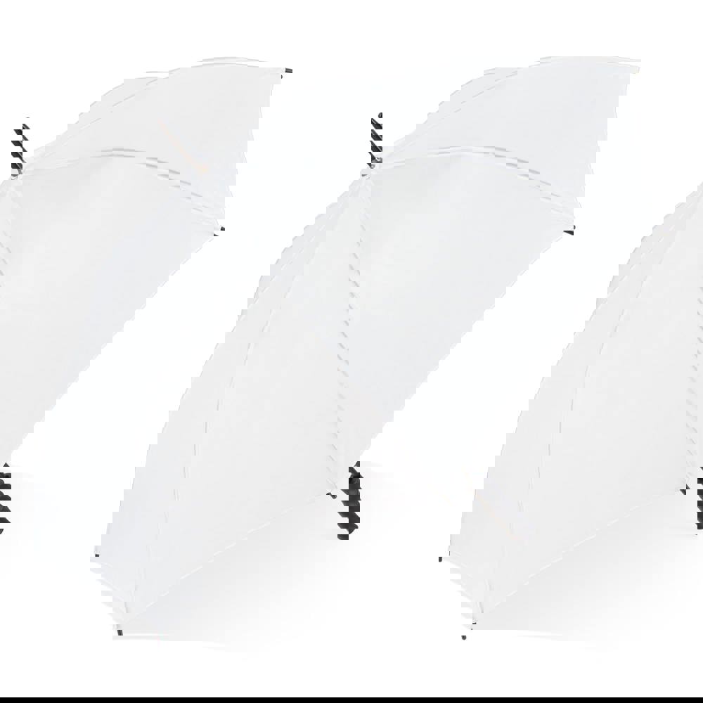 f004782b434dd4ed0973139f2af3b1209dddf08955c58d2bf3abda708a31cdff - Hidalgo