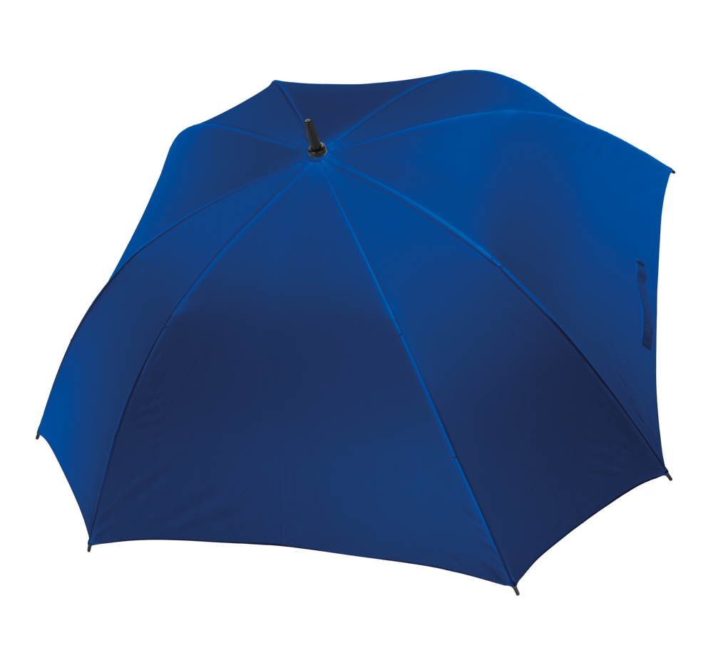 f72250b17ec0b587de709311729cd0fa740c7a56e61b92e21bf379d9f4a7171b - Hidalgo