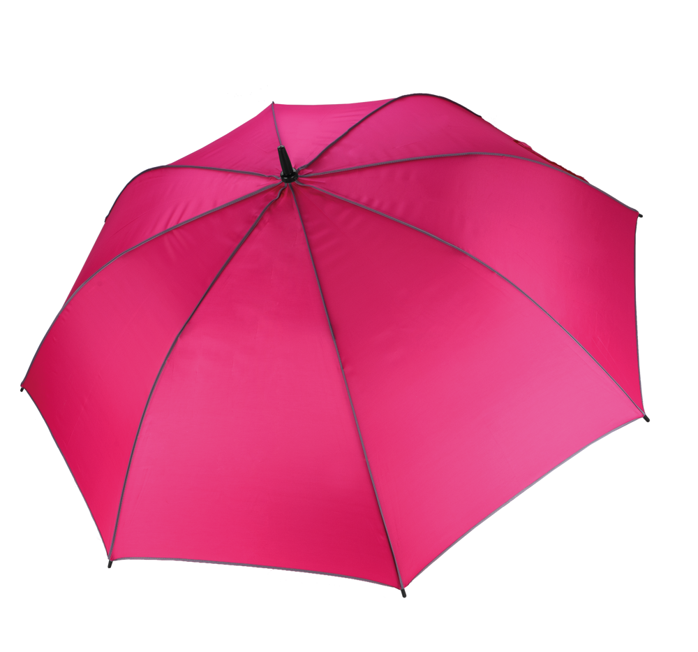 fad414f1c28b974280e565922e32553f30bcf2d6d7e767e630015d4ec15bca69 - Hidalgo