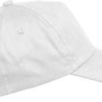 6e273e7799ffc752c26f779b8c5fe2705e347f418fbffaebbcd254333a30d796 - Hidalgo