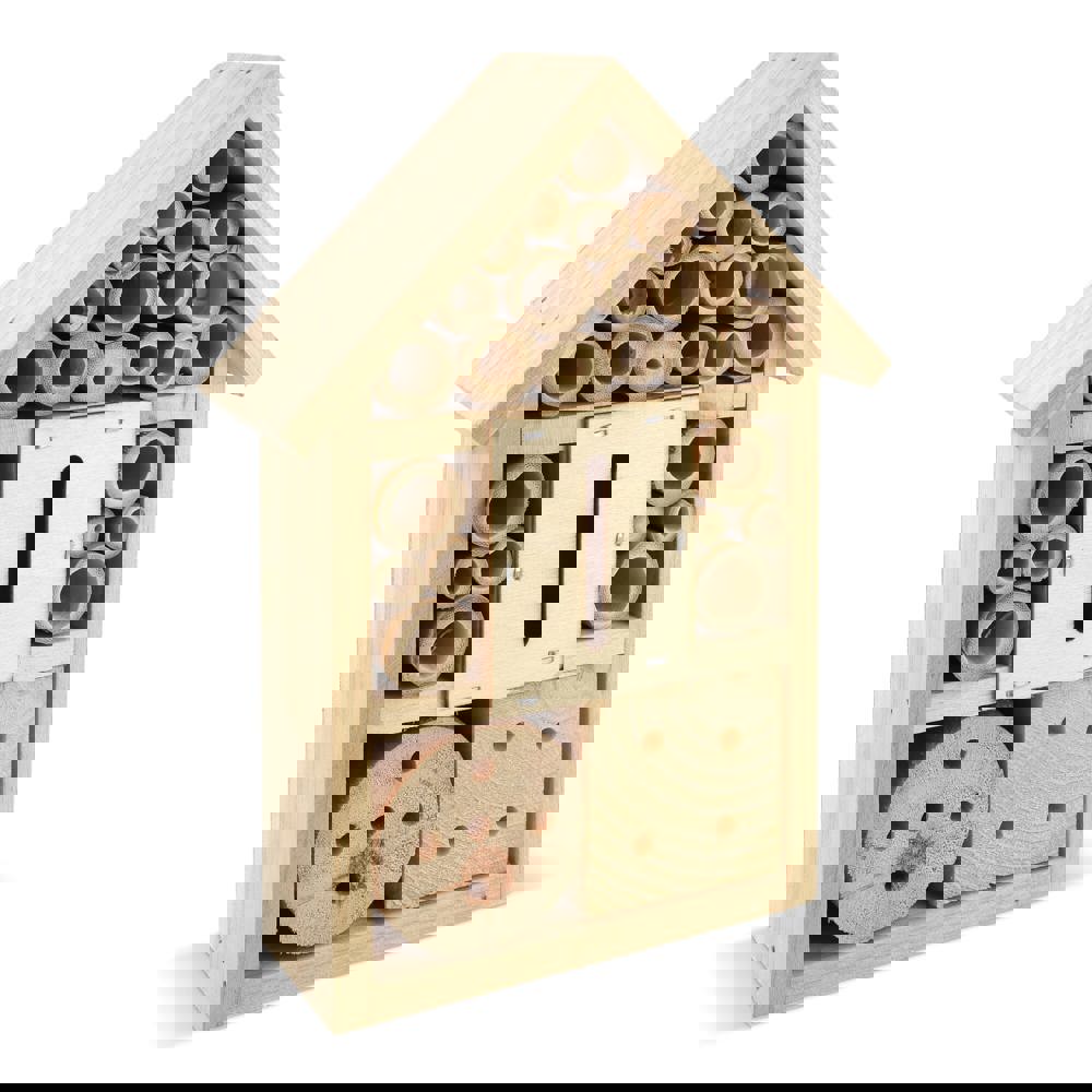 2080c3dcdea250260f26829201056bc1d9b308b59de94870e99830b8a827916c - Hidalgo