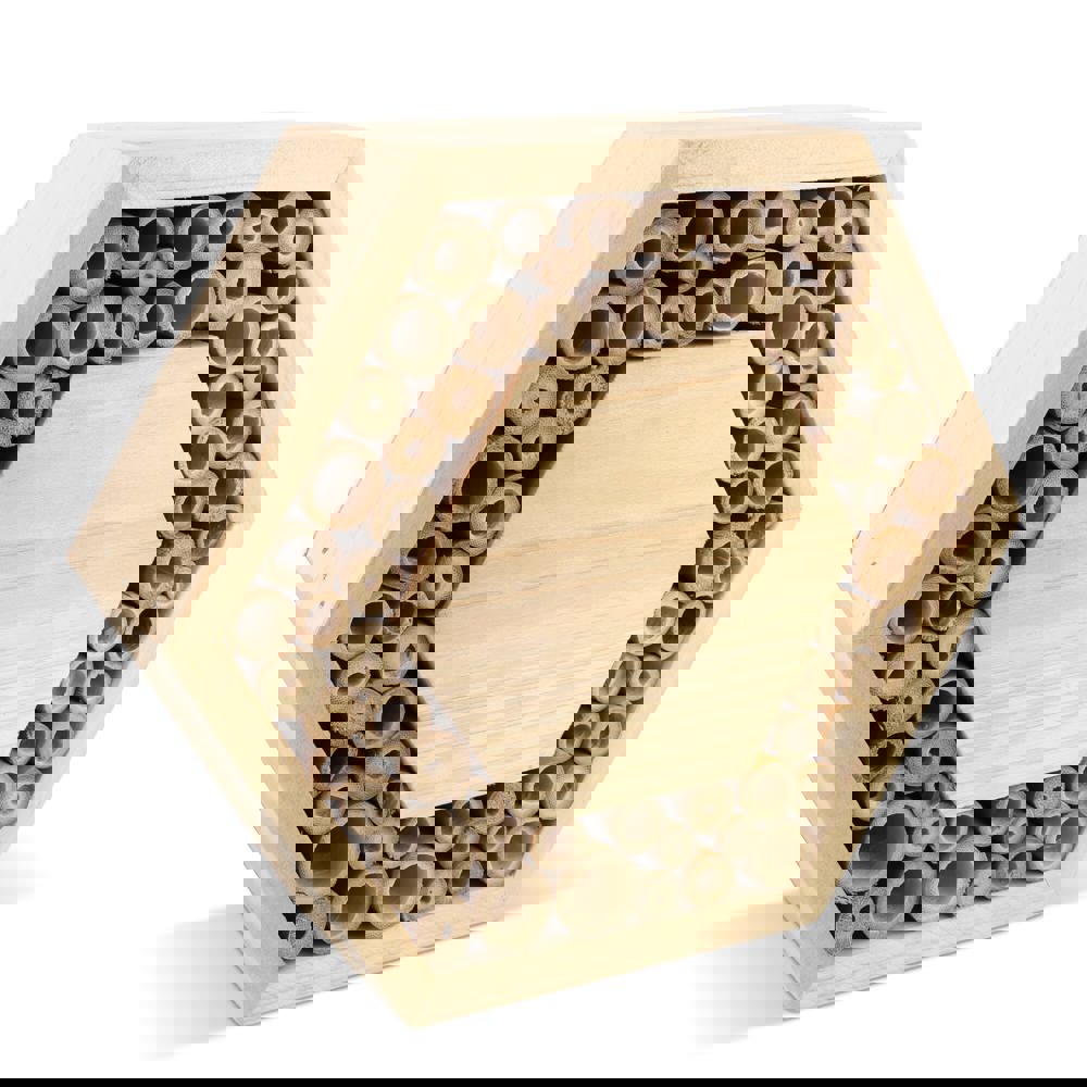 3b4cb0f342ede75614c8c7fab2f01ba6ea520ae4394e27f4c0cd9a4d95515f7a - Hidalgo