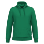 3dce70b23315e213f99d1157e9850ea20f497422528a126bd10f130458359388-5 - Hidalgo