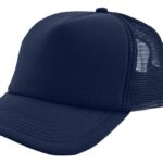 8b8d1571012177ac1238bf17559cebddf4975504acd003fe380e6506ab3b7293-4 - Hidalgo