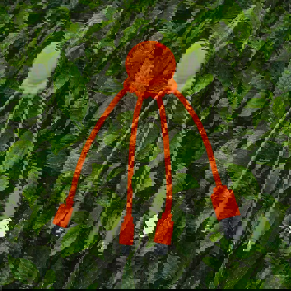 9965153a0ae7d91bde1f10b90ee41f59735b9fa49abab4d2f9f335ffa9842ead - Hidalgo