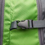 c7917fcf30fd5833f04f9fc77a7721bec9fe724257e009c05989c71547ee82cf-4 - Hidalgo