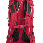 dd6996b8e226b1a2024d9fb81ddda99dfd8f22e6140e2d1d3c560bc2b88b3824-1 - Hidalgo