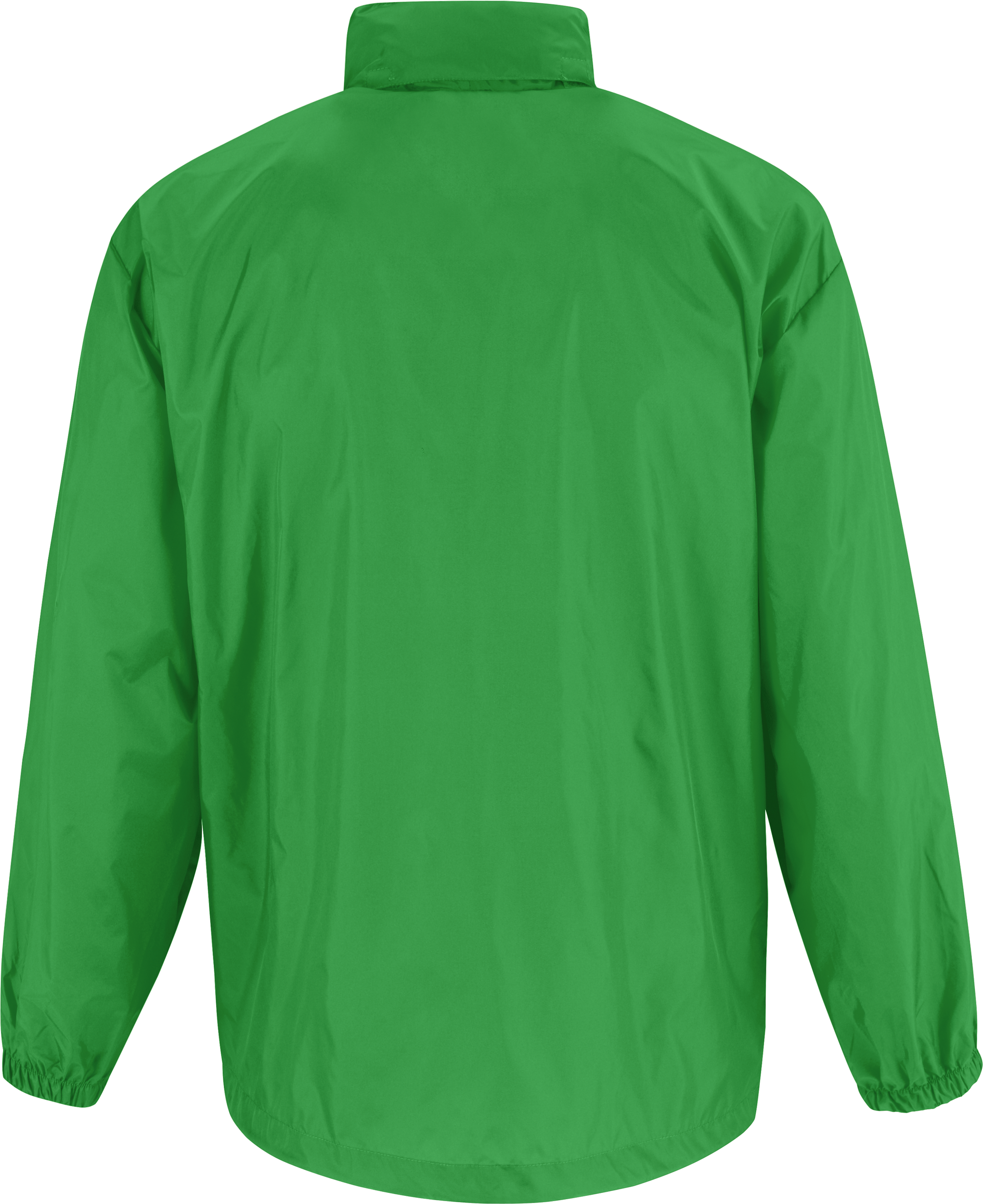 PS_CGSIR-B_REALGREEN - Hidalgo