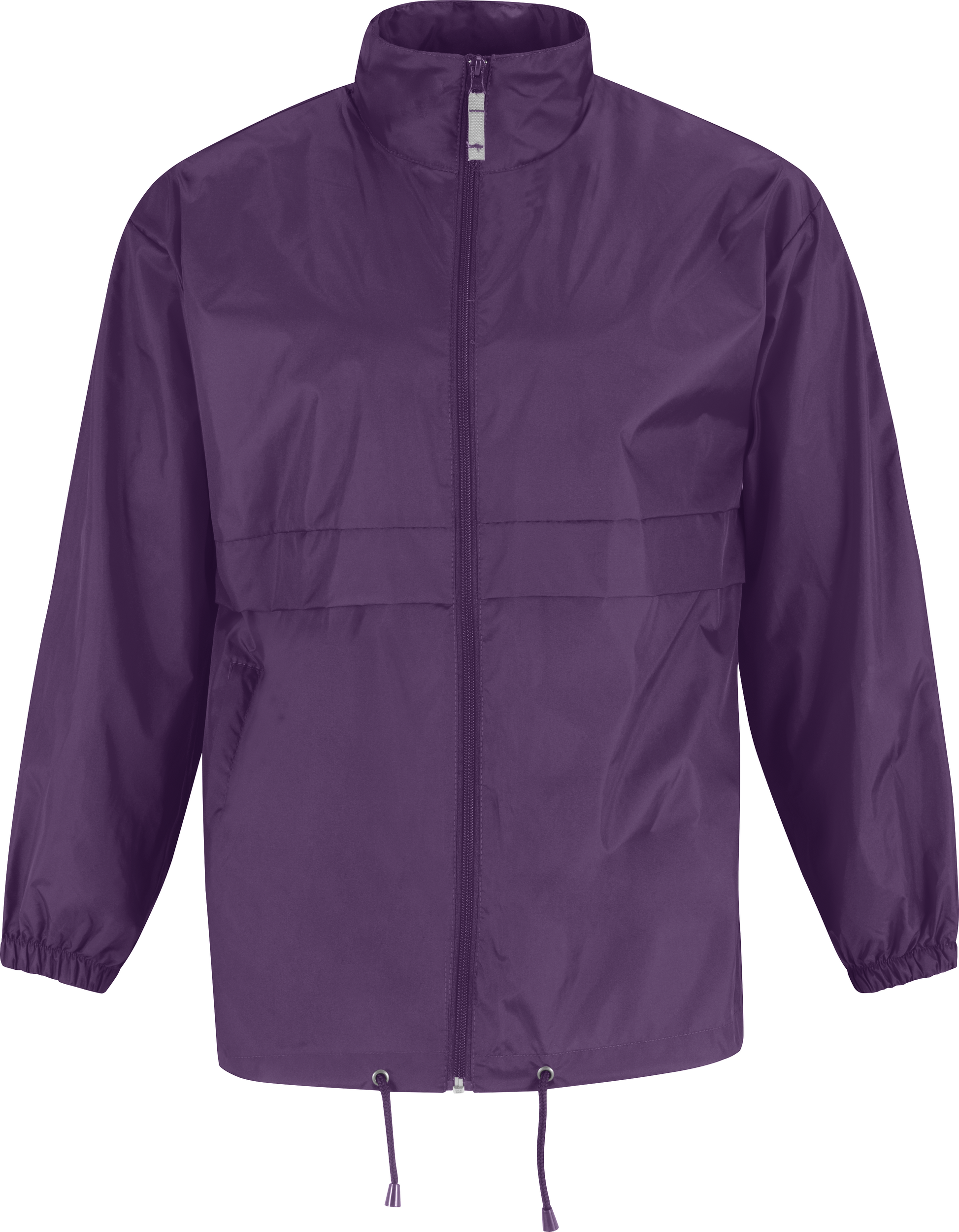 PS_CGSIR_PURPLE - Hidalgo