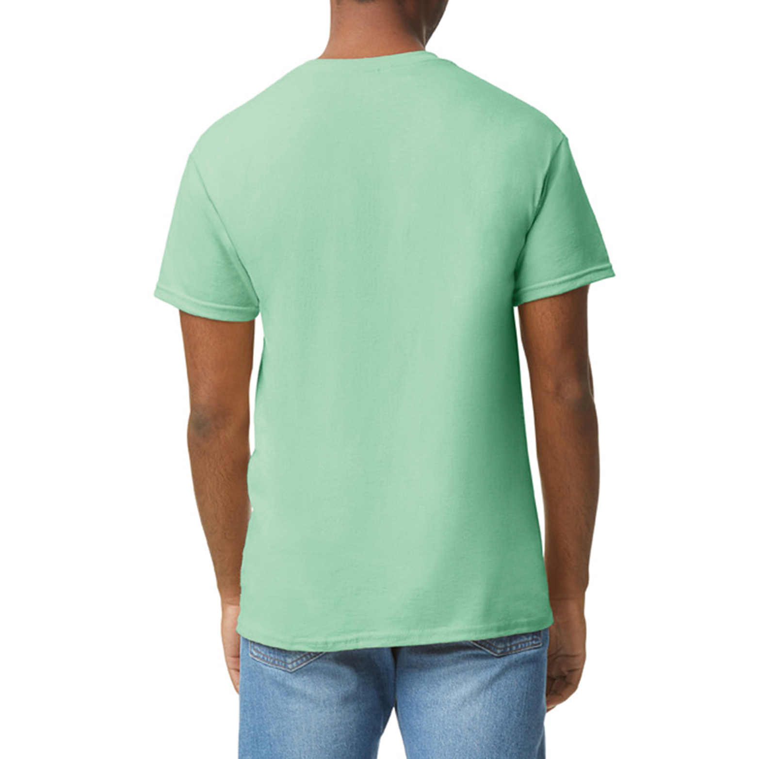 PS_GI5000-B_MINTGREEN - Hidalgo
