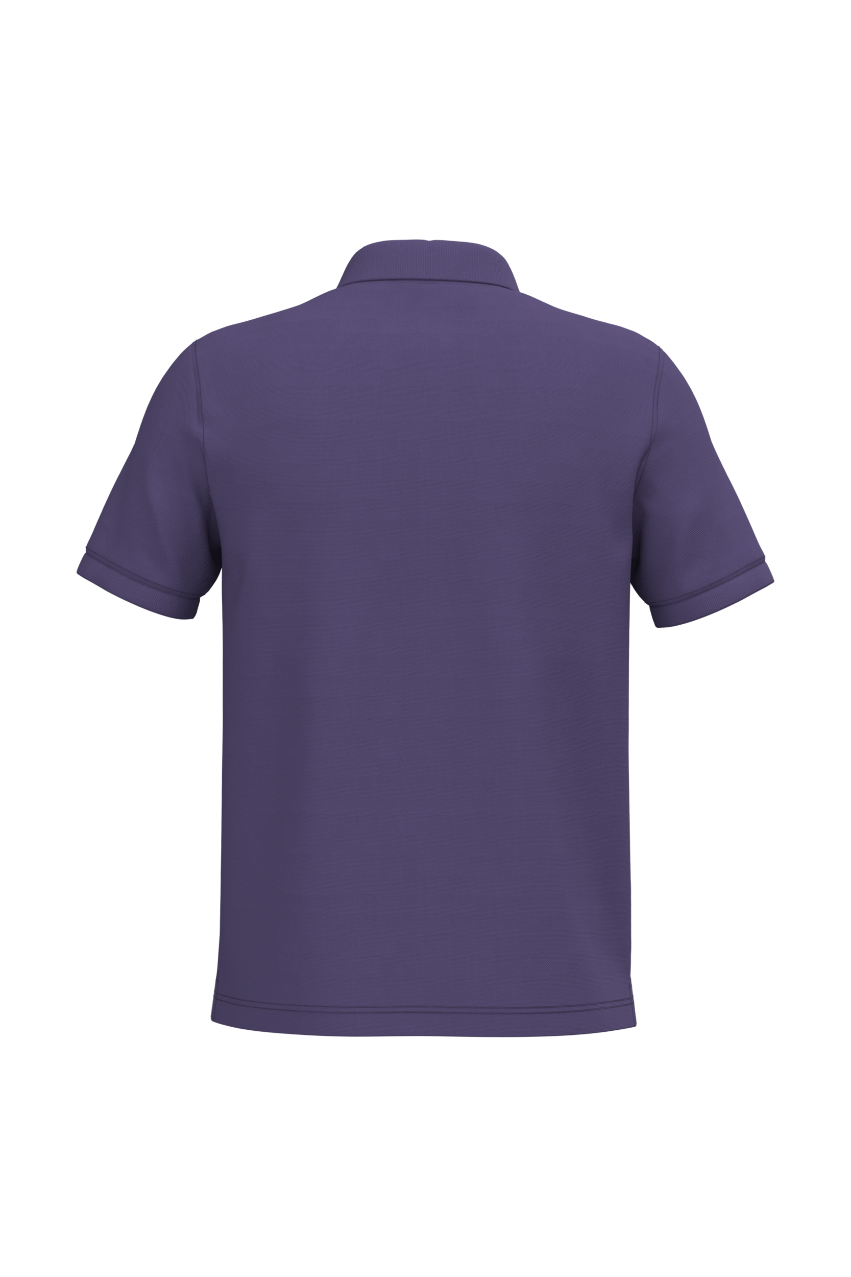 PS_K241-B_PURPLE - Hidalgo