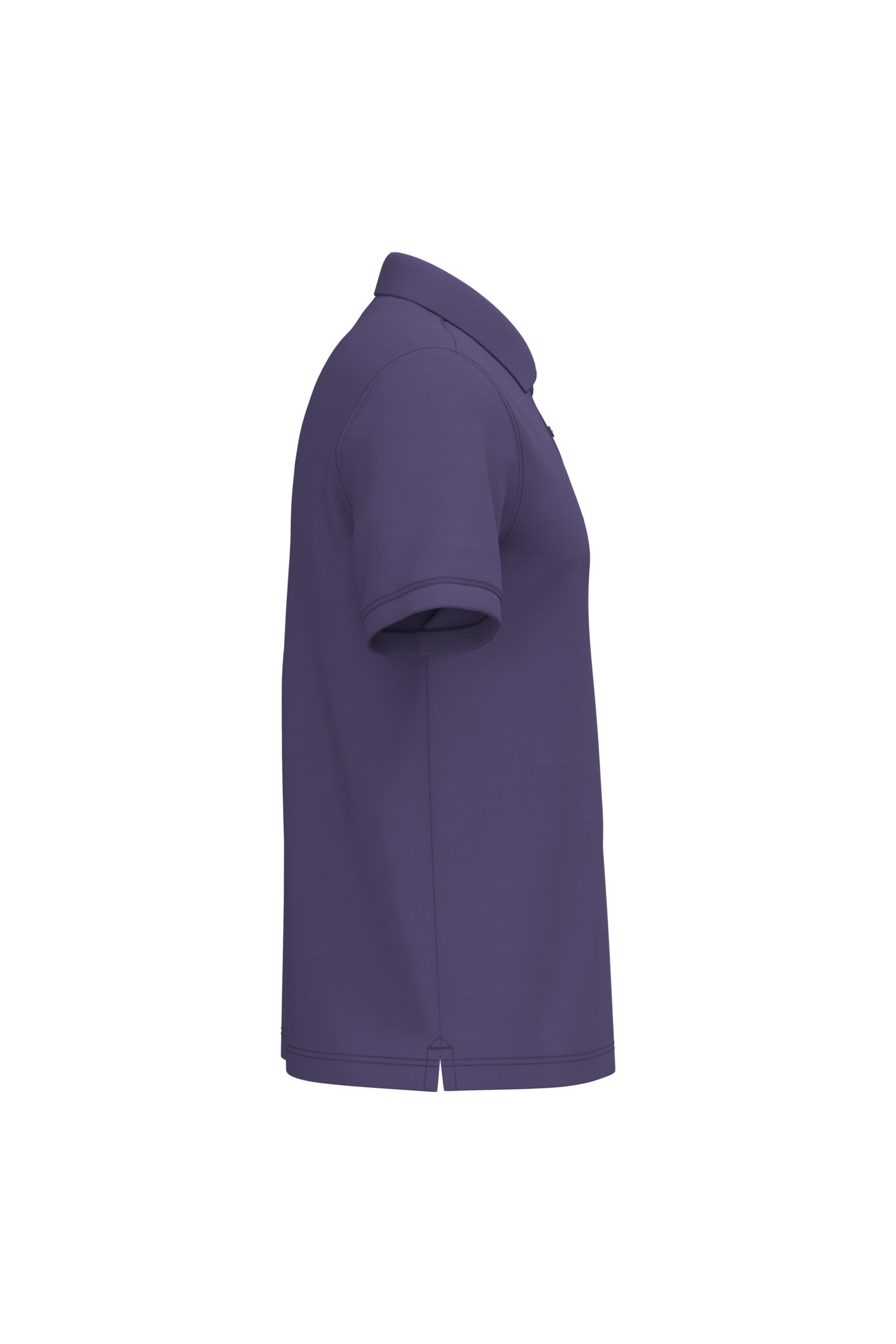 PS_K241-S_PURPLE - Hidalgo