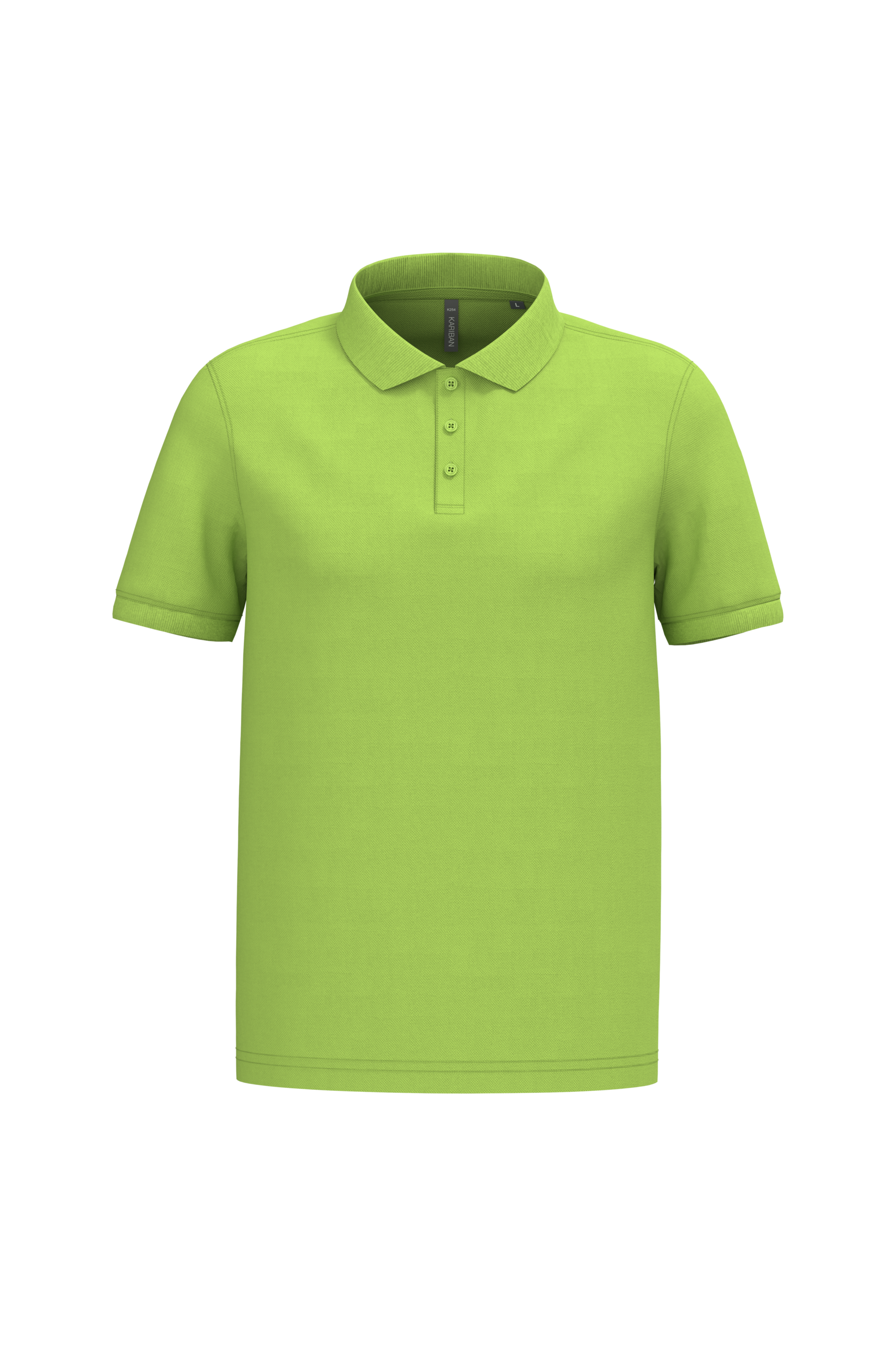 PS_K254-2_LIME - Hidalgo