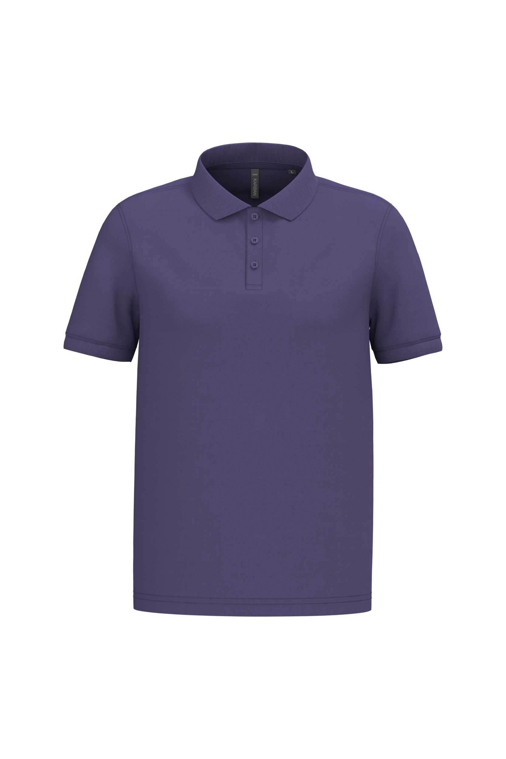 PS_K254-2_PURPLE - Hidalgo