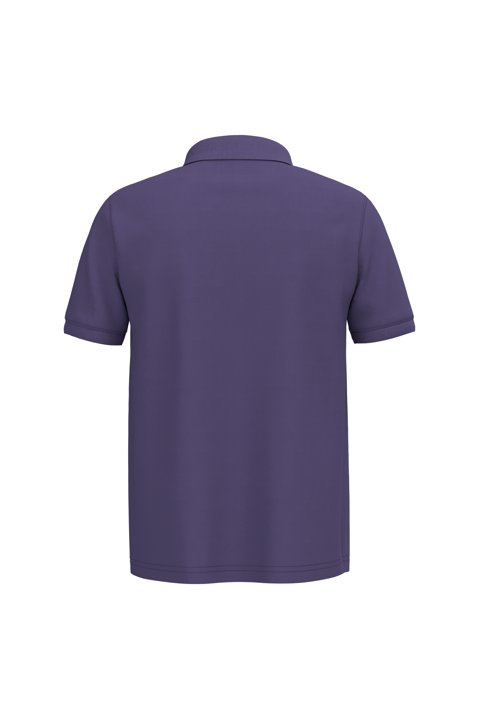 PS_K254-B-2_PURPLE - Hidalgo