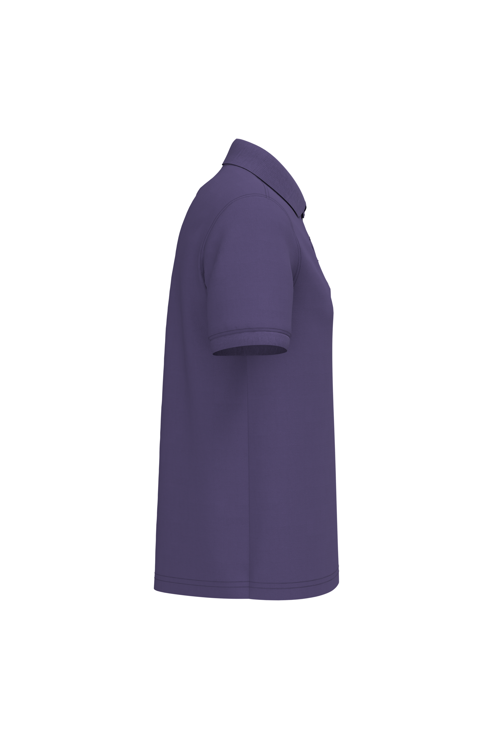PS_K254-S_PURPLE - Hidalgo