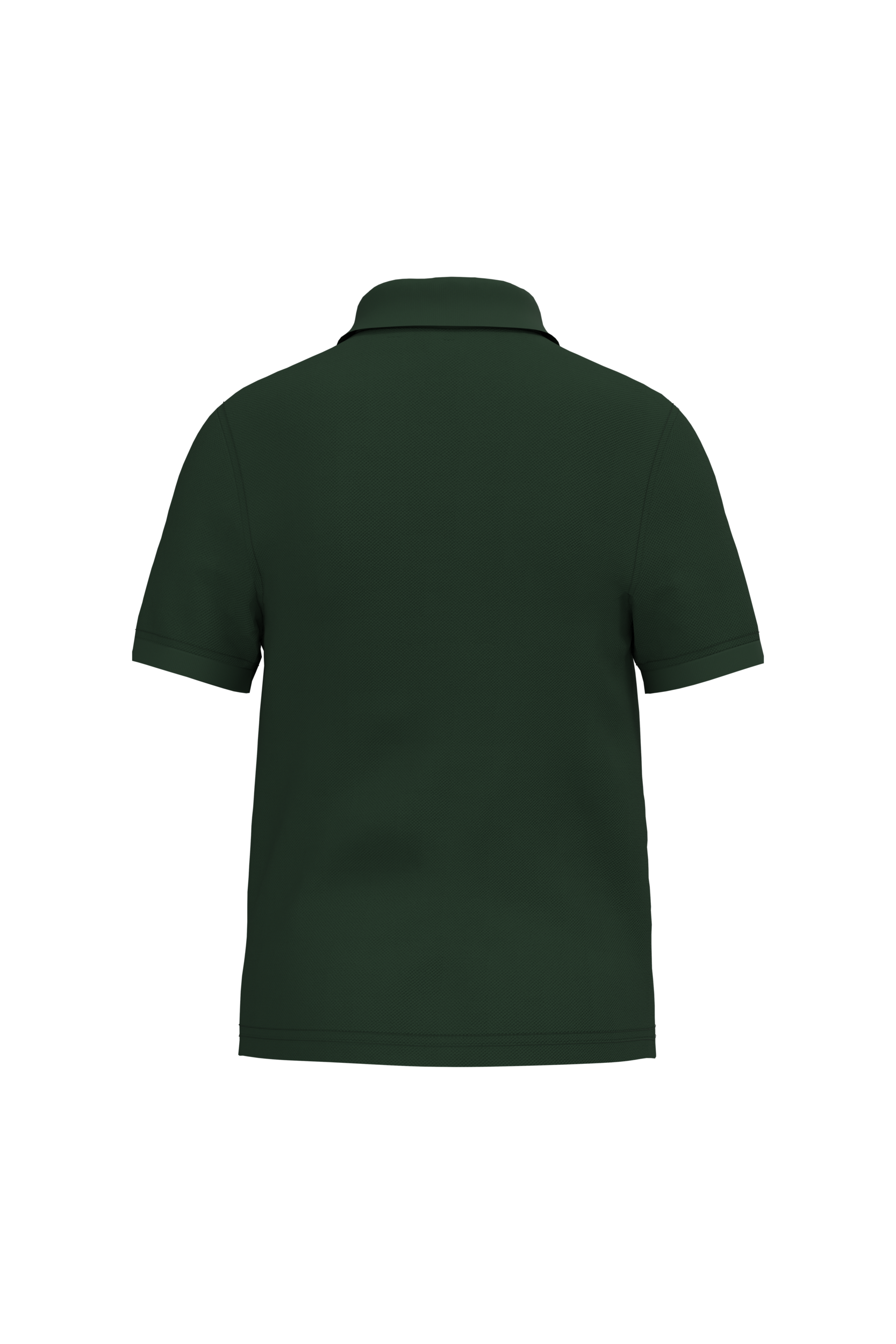 PS_K268-B-2_FORESTGREEN - Hidalgo