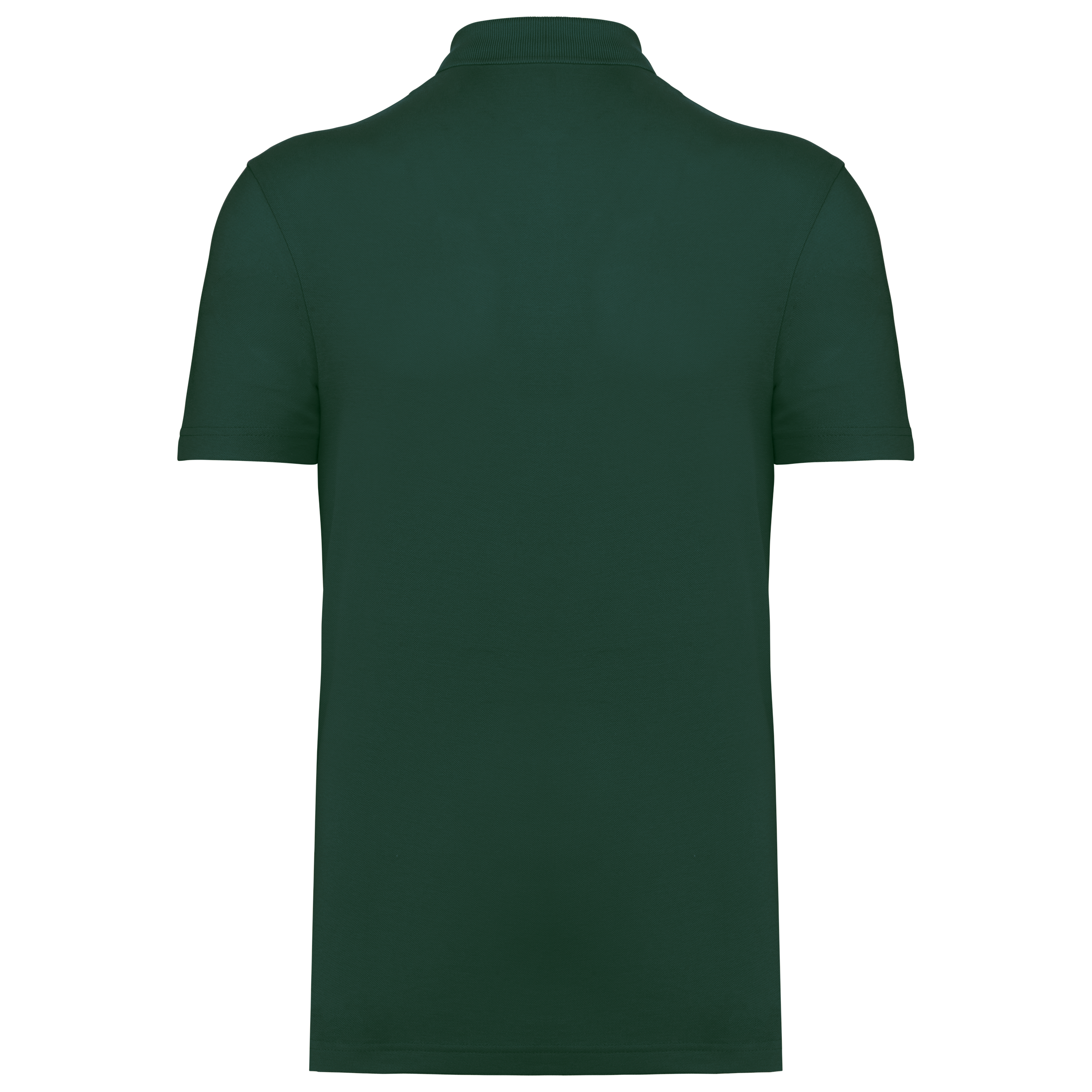 PS_K295-B_BOTTLEGREEN - Hidalgo