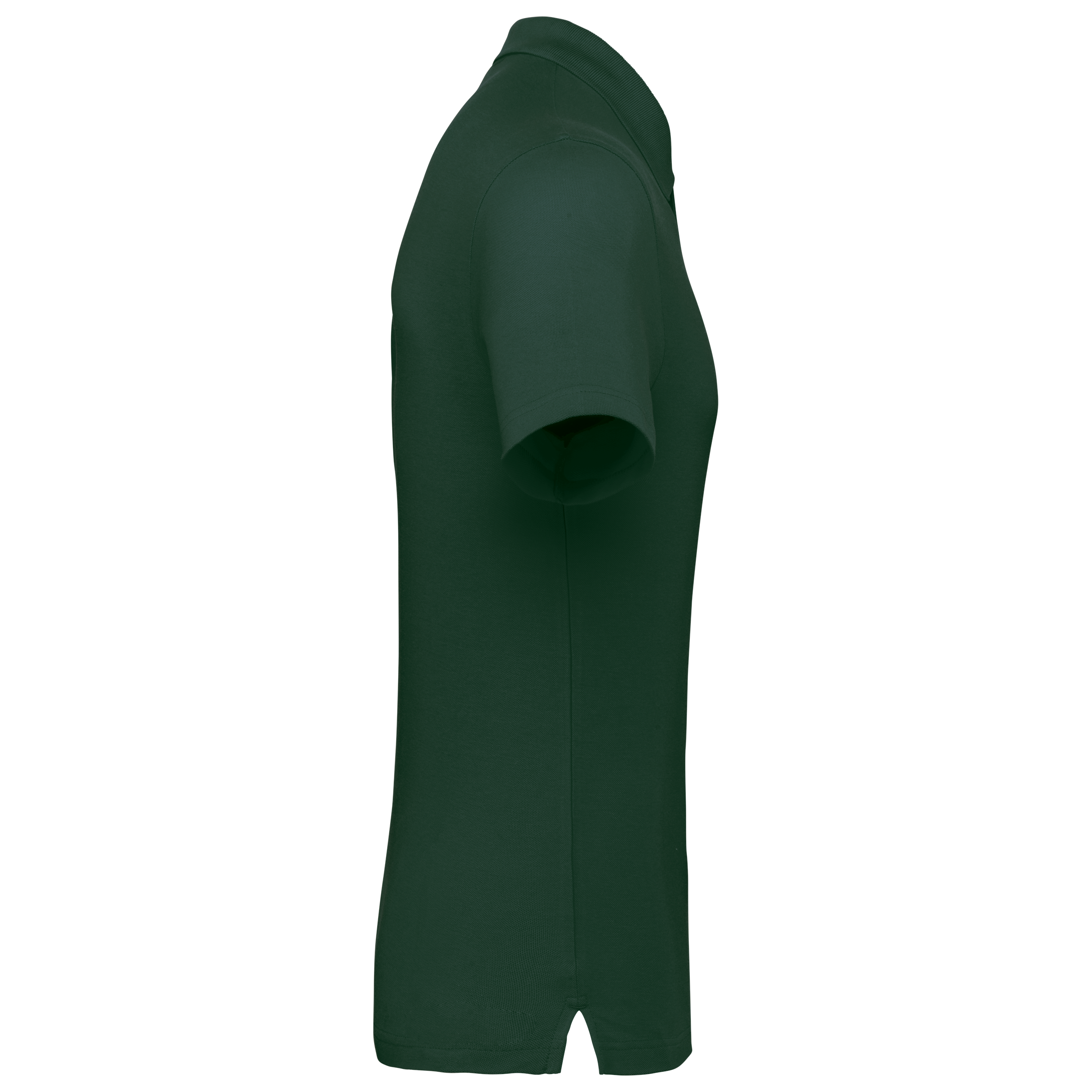 PS_K295-S_BOTTLEGREEN - Hidalgo