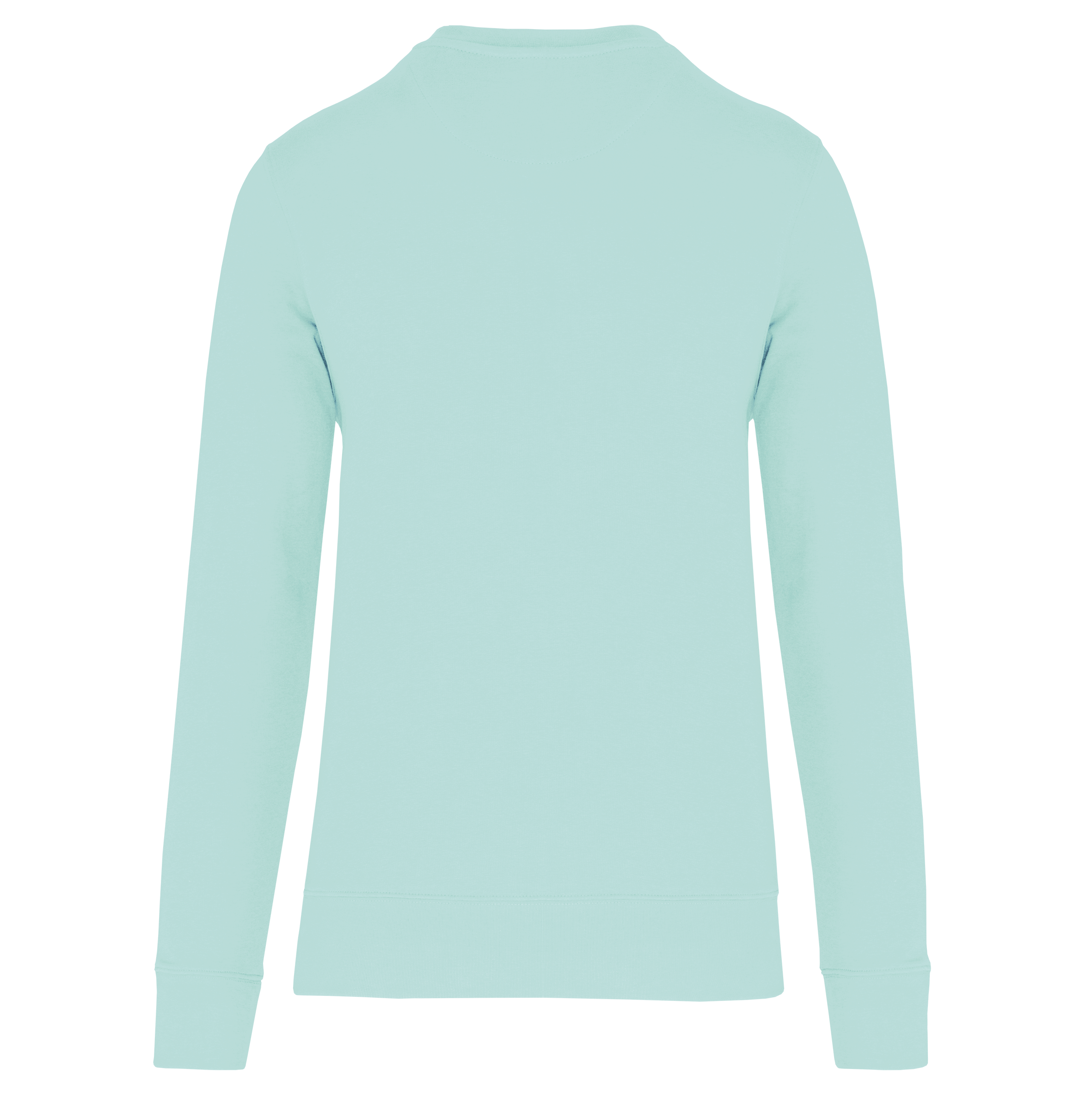 PS_K4025-B_ICEMINT - Hidalgo
