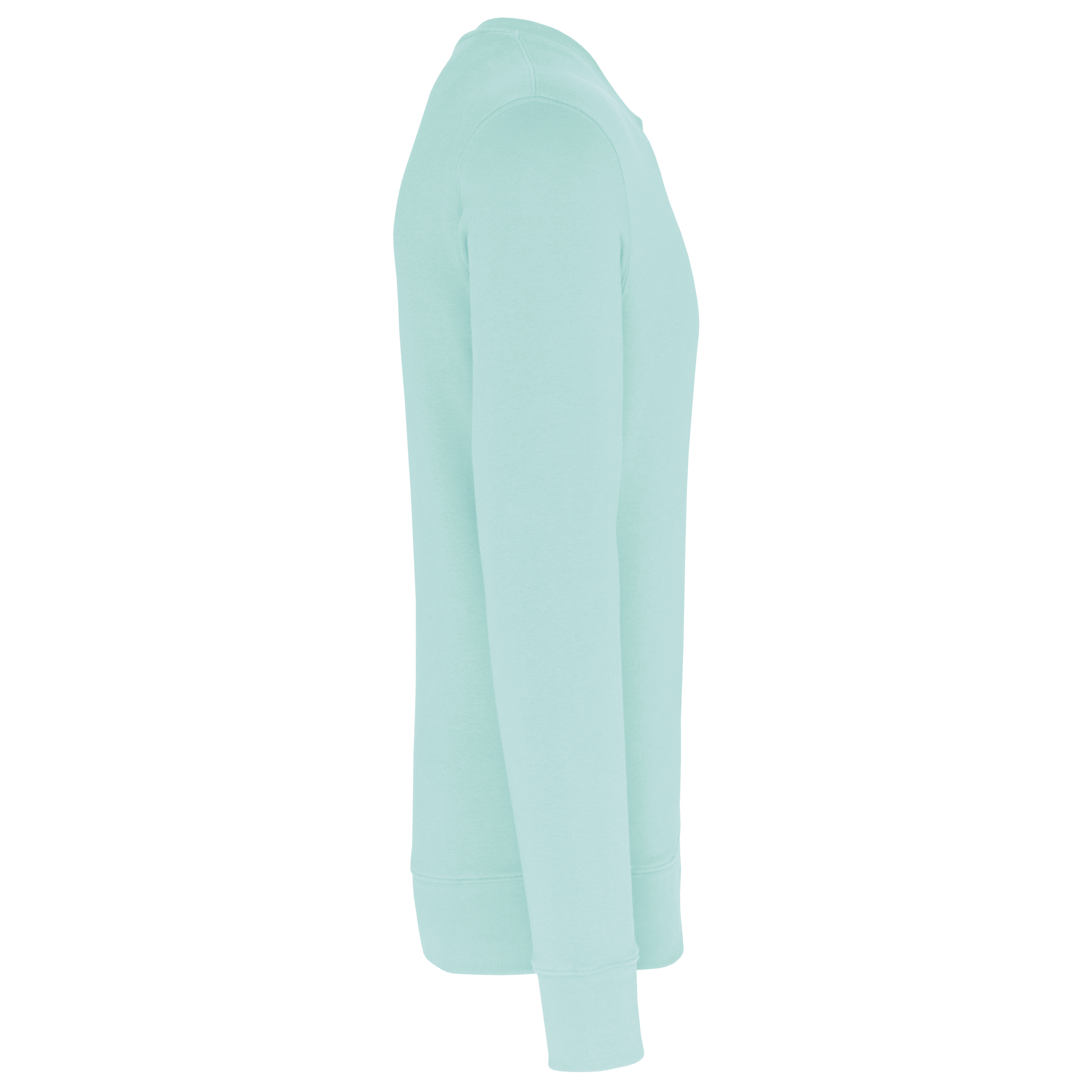 PS_K4025-S_ICEMINT - Hidalgo