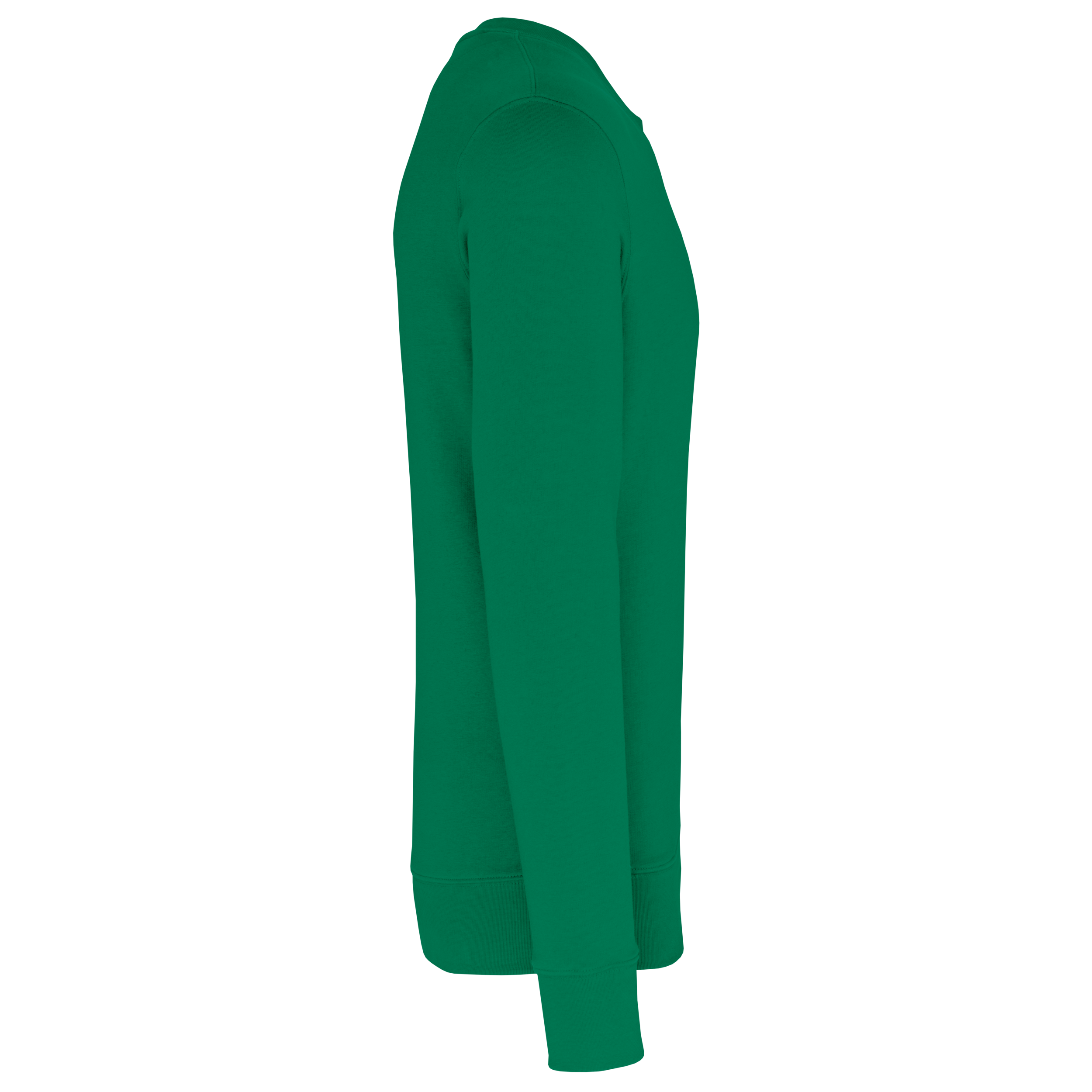 PS_K4025-S_KELLYGREEN - Hidalgo