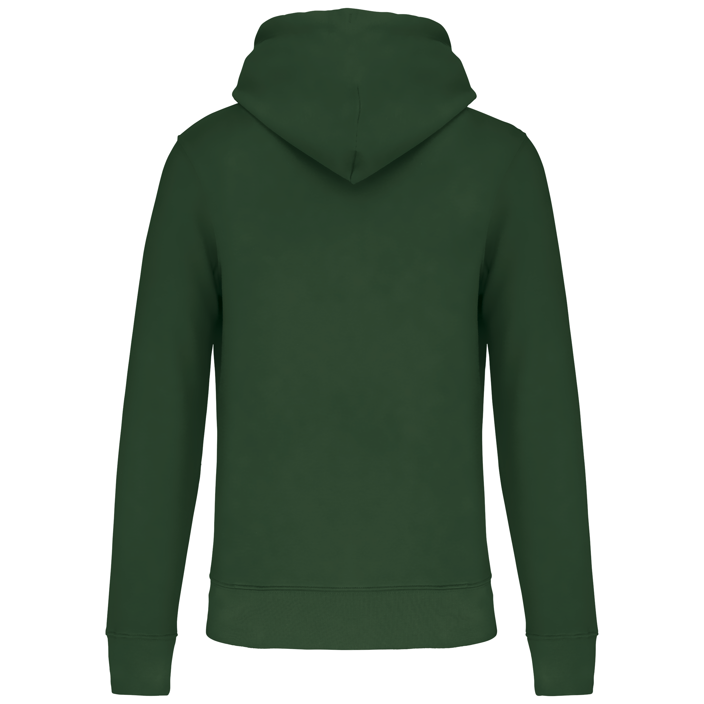PS_K4027-B_FORESTGREEN - Hidalgo